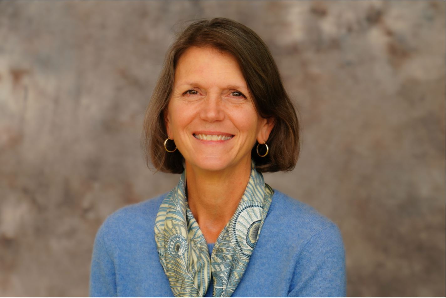 Cornell Veterinary Medicine launches an academy for veterinary